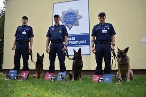 policjanci ze swoimi psami służbowymi i statuetkami pozują do zdjęcia
