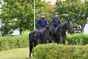 Policyjni jeźdźcy na koniach