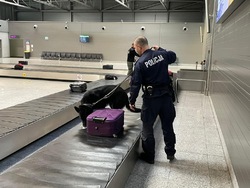 Zdjęcie. Policjant z psem podczas ćwiczenia na lotnisku.