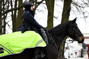 Zdjęcie. Policjant na koniu.