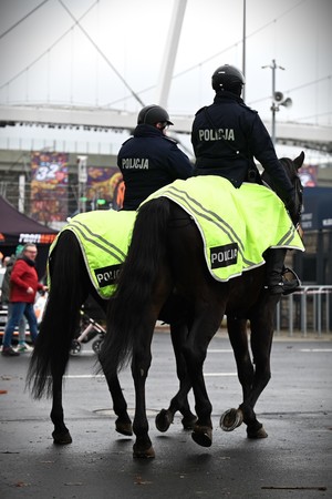 Zdjęcie. Policjanci na koniach.
