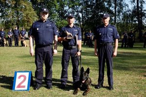 Na zdjęciu policjanci z psami służbowymi