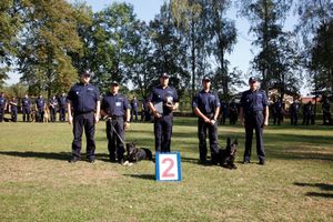 Na zdjęciu policjanci z psami służbowymi