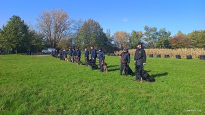 Policjanci z psami podczas ćwiczeń warsztatowych w terenie