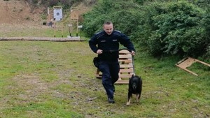 Policjant biegnie z psem podczas ćwiczeń warsztatowych w terenie