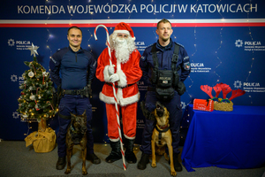 Zdjęcie przedstawia: Mikołaja, dwóch policjantów oraz dwa psy służbowe.