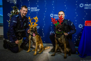 Zdjęcie przedstawia: dwóch policjantów z psami służbowymi.