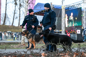 Na zdjęciu policyjni przewodnicy psów wraz z dwoma psami