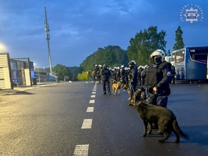 Policjanci z psami służbowymi stojący na ulicy