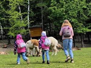 Dzieci ze zwierzętami w parku leśnym