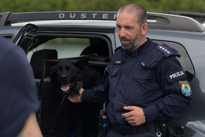 Zdjęcie przedstawia policjanta wraz z psem służbowym