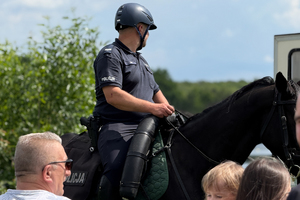 Zdjęcie przedstawia policjanta na koniu
