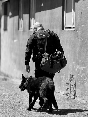 zdjęcie przedstawia policyjnego przewodnika psa wraz z psem służbowym podczas patrolu ulic