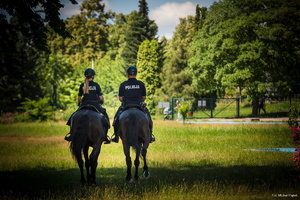 Zdjęcie przedstawia policjantkę oraz policjanta podczas jazdy na koniach służbowych