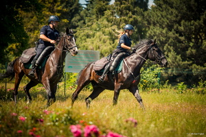Zdjęcie przedstawia policjantkę oraz policjanta podczas jazdy na koniach służbowych