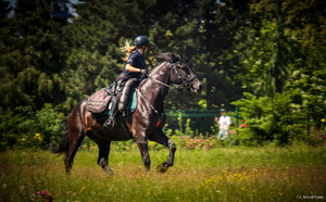 Zdjęcie przedstawia policjantkę jazdy na koniu służbowym
