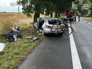 Zdjęcie przedstawia pojazd stojący na poboczu drogi, który uderzył w drzewo