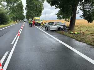 Zdjęcie przedstawia pojazd stojący na poboczu drogi, który uderzył w drzewo