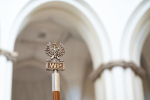 zdjęcie głowicy sztandaru