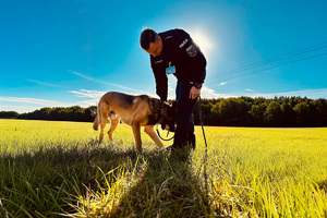 Zdjęcie policjanta pochylającego się nad jego psem służbowym