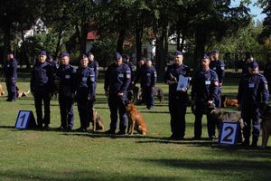 Zdjęcie grupowe policjantów z ich psami służbowymi