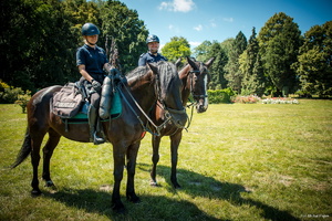 Zdjęcie policjantów policji konnej
