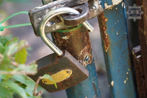 otwarta kłódka przypięta do metalowej furtki