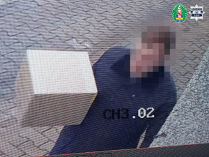 kadr z kamery, który przestawia człowieka niosącego przesyłkę