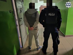 policjant stoi obok osoby zatrzymanej