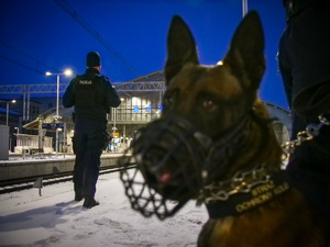 Policjant oraz pies służbowy przy torach kolejowych