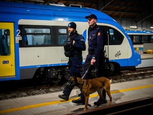 Policjant oraz funkcjonariusz SOK z psem przy pociągu oraz torach kolejowych, którzy wykonują swoje obowiązki służbowe