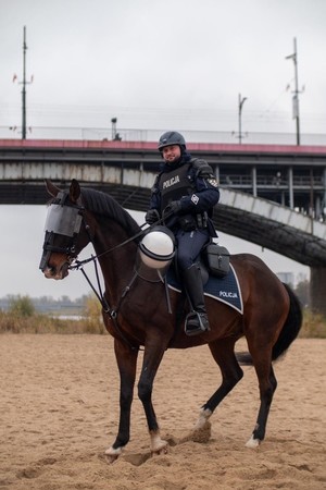 Policjant na koniu na tle mostu.