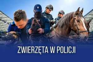 Policjanci z psami oraz na koniach.