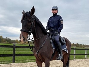 Policjant w kasku ochronnym siedzący na koniu.
