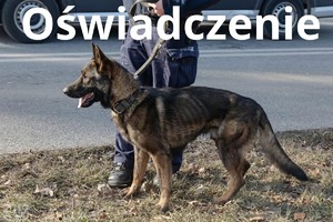 na zdjęciu pies policyjny