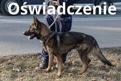 na zdjęciu pies policyjny