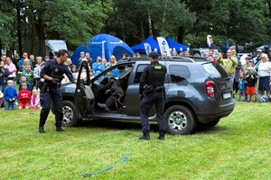 zdjęcie przedstawia pokaz interwencji przy kontroli pojazdu z psem policyjnym