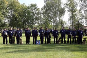 Na zdjęciu umundurowani policjanci z psami służbowymi