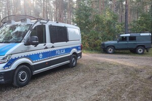 radiowóz i pojazd pośród drzew