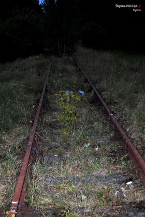 Dzięki reakcji świadka wpadł na kradzieży torów