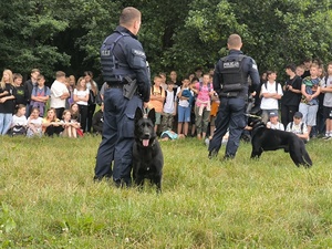 Na zdjęciu policjanci z psami policyjnymi podczas pokazu.