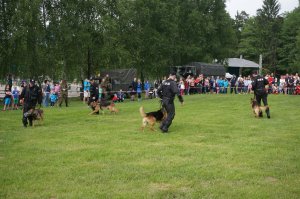 Policjanci na dniach bezpieczeństwa