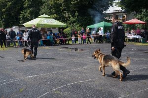 pokaz tresury psów służbowych