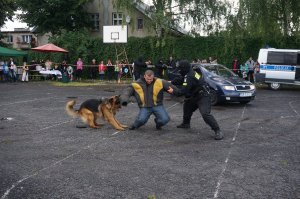 pokaz działania policji - zatrzymanie