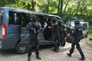 pokaz działania policji - zatrzymanie