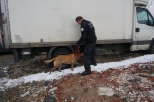 Policjanci zlikwidowali nielegalną rozlewnię alkoholu