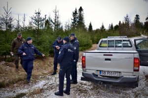Policjanci ze Strażnikiem Leśnym kontrolują szkółkę drzewek choinkowych.