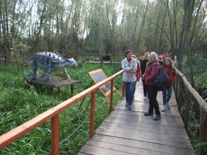 Opiekunki i dzieci w Parku Rozrywki