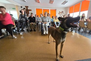 Na zdjęciu widzimy policjanta, psa służbowego oraz podopiecznych