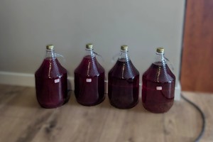 Na zdjęciu widzimy zabezpieczony nielegalny alkohol